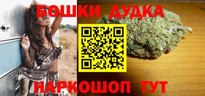 сатива Абакан